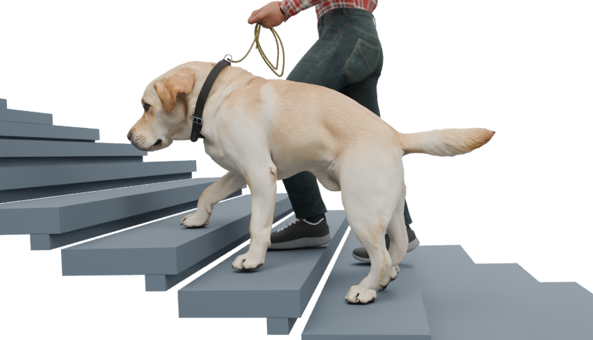 Dog and MetaHuman handler together on stairs